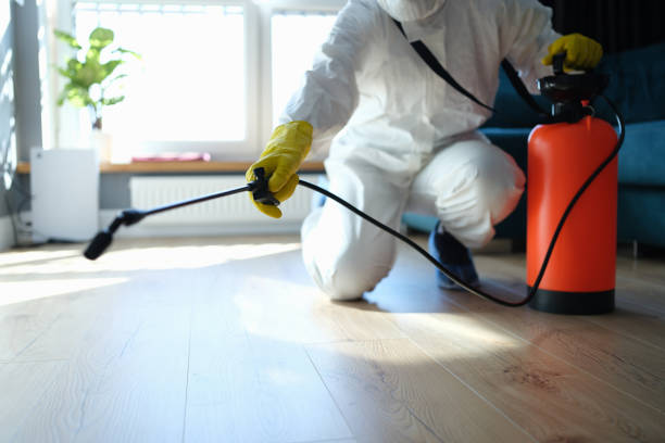 Affordable Sewage Cleanup solutions in Parker, FL